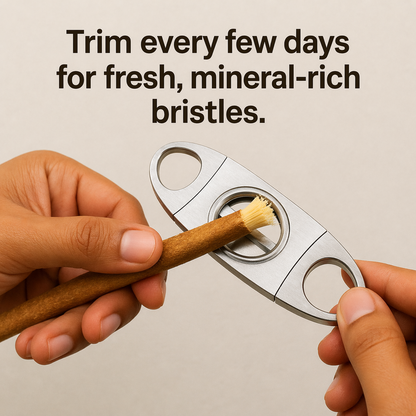 Nature's Original Toothbrush
