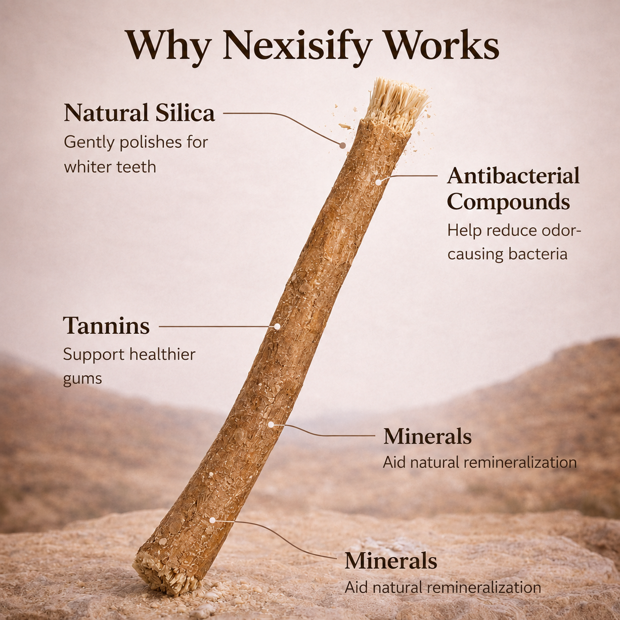 Nature's Original Toothbrush