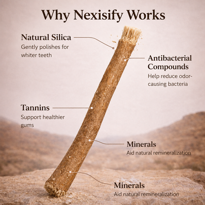 Nature's Original Toothbrush